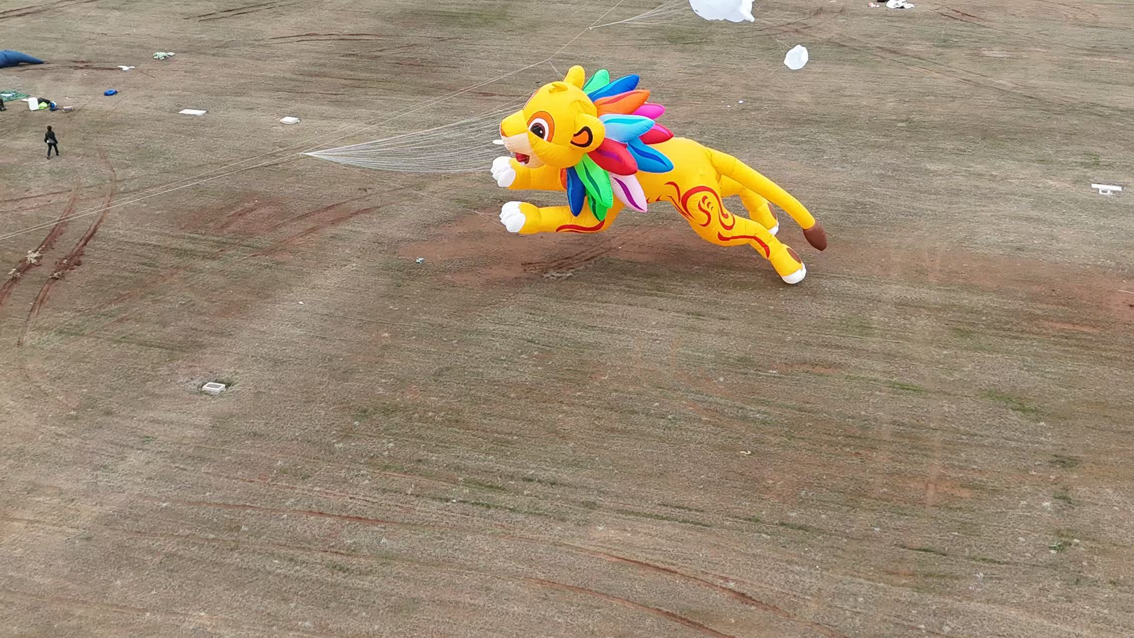 三亚市品牌风筝定制风筝商业放飞 - 价格