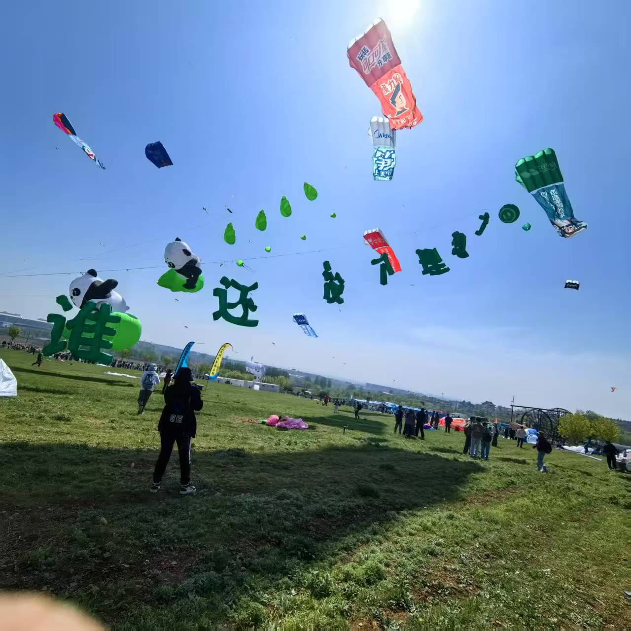 三亚市风筝定制风筝定制 - 厂家